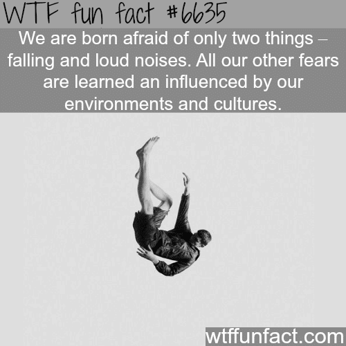 We are born afraid of these two things - WTF fun facts