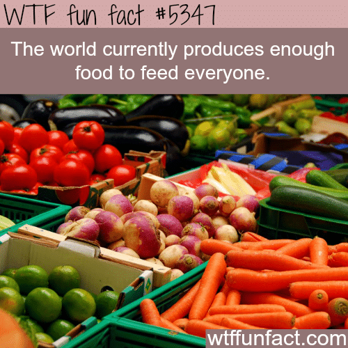 We have a problem wasting food