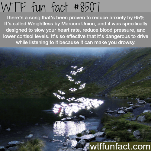 Weightless By Marconi Union - WTF fun facts