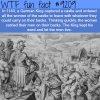 weird history facts wtf fun fact