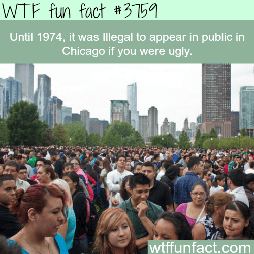 Weird laws in Chicago - WTF fun facts