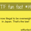 weird laws japan