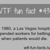 weirdest facts