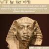 weirdest facts about pharaohs wtf fun facts