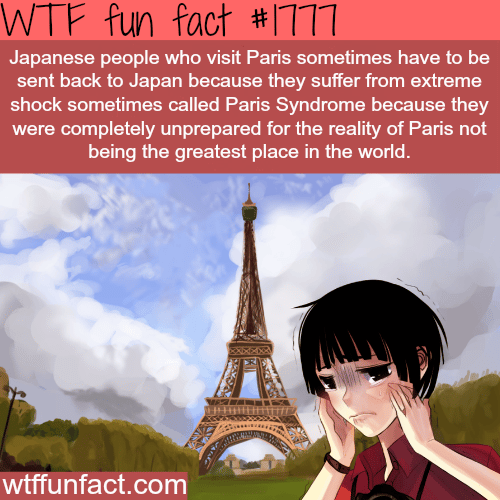 What are greatest and best cities in the world? - WTF fun facts