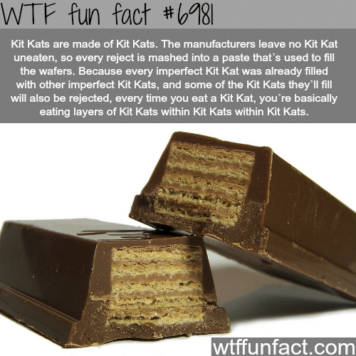 What are Kit Kats made of - WTF fun fact