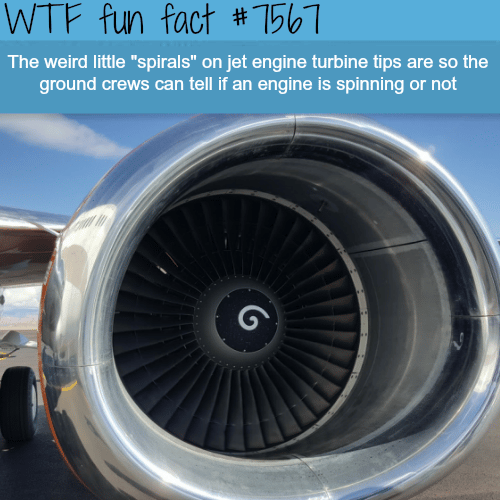 What are the “spirals” on the jet engine turbines - WTF fun facts