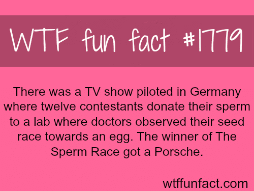 What are the weirdest TV shows you have seen? - WTF fun facts
