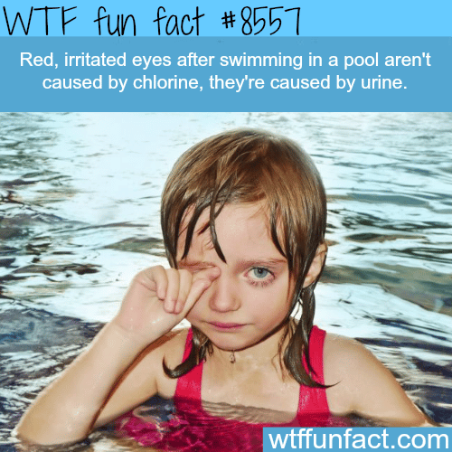 What causes red eyes after swimming in a pool - WTF fun facts