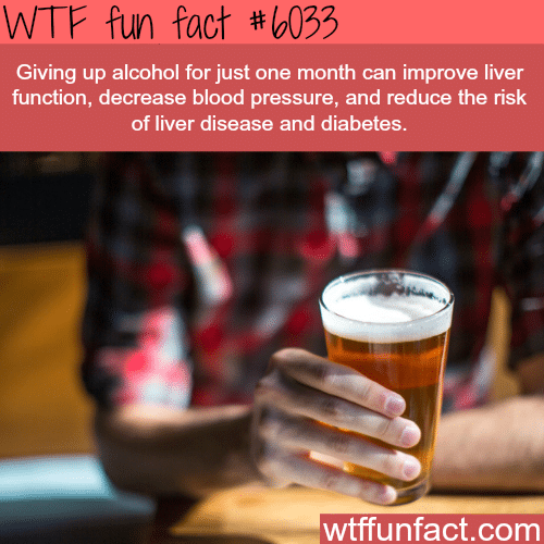 What happens when you give up alcohol for one month - WTF fun facts