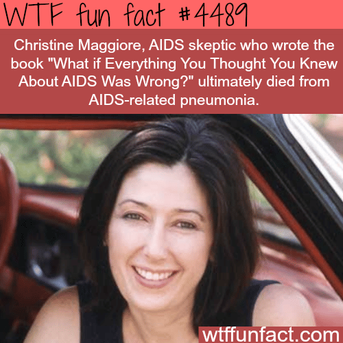 What If Everything You Thought You Knew about AIDS Was Wrong? -   WTF fun facts