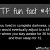 what if you lived in complete darkness
