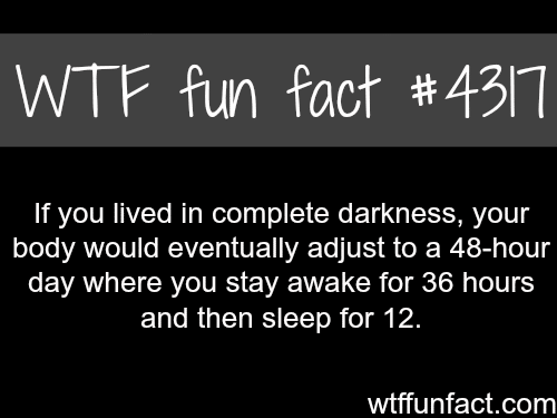 What if you lived in complete darkness -  WTF fun facts