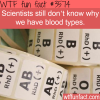 what is the point of blood types wtf fun facts
