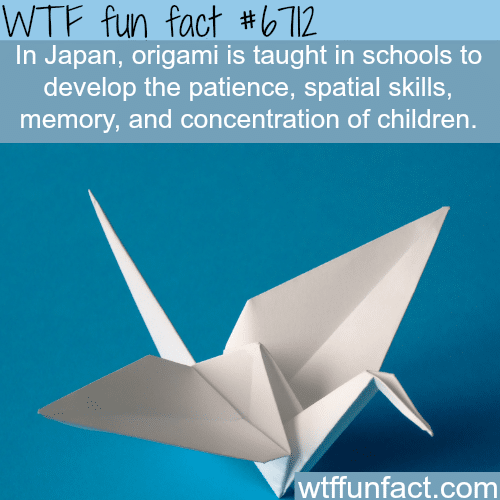 What kids in Japan are taught in school - WTF fun fact