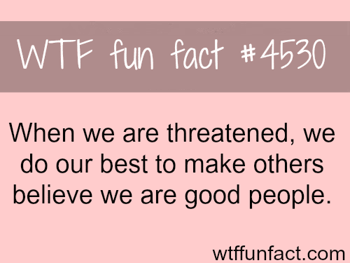 What people do when they are threatened -   WTF fun facts