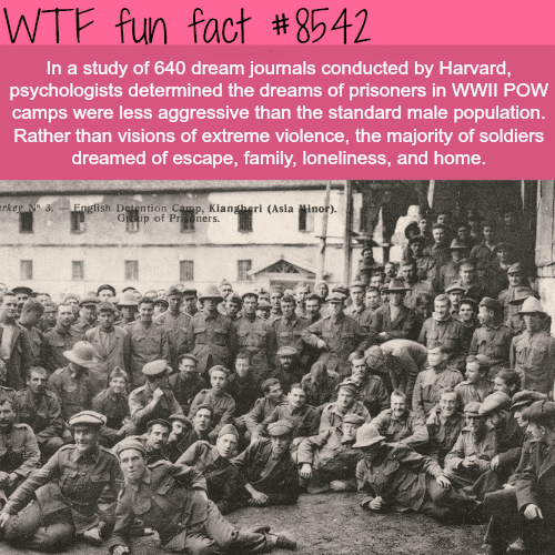 What prisoners of war dreamed of - WTF fun facts