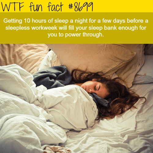What to do before a sleepless workweek - WTF fun facts