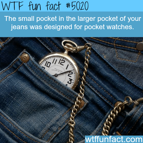 What’s the small pocket of your jeans for - WTF fun facts