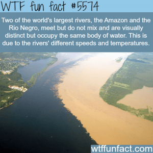 when the amazon river and rio negro meet wtf fun