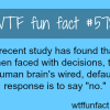 when the brain is faced with decisions wtf fun
