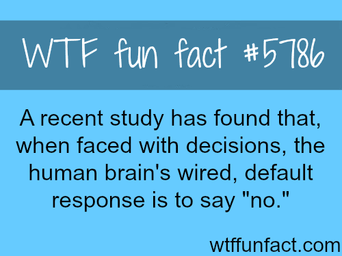 When the brain is faced with decisions - WTF fun facts