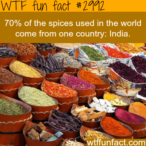 Where do most spices come from? -  WTF fun facts