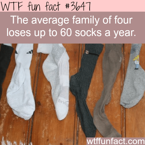 Where do socks go? -  WTF fun facts