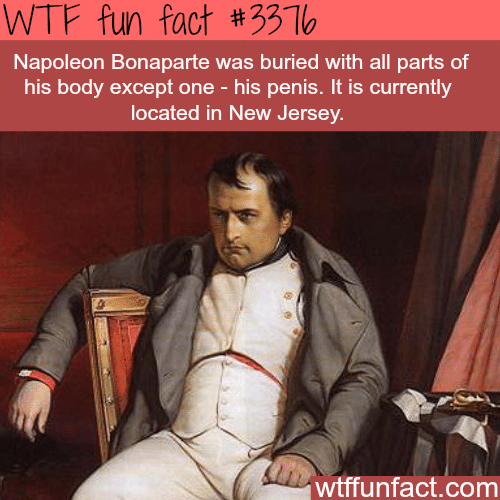 Where is Napoleon penis? -  WTF fun facts