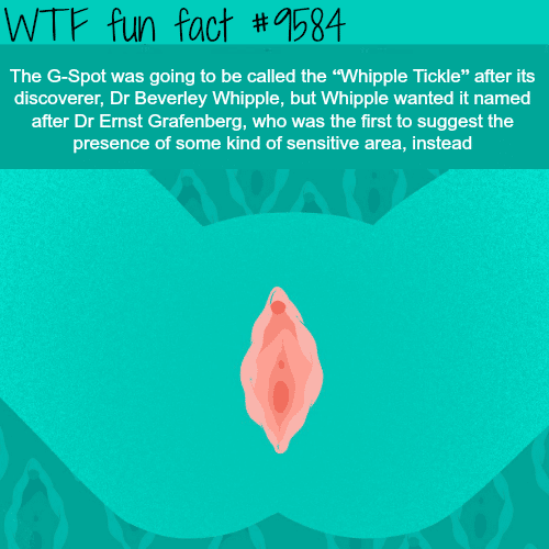 Whipple Tickle - WTF fun fact