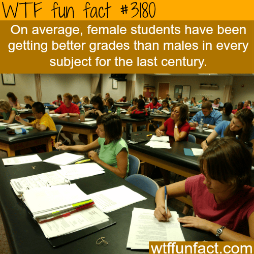 Who gets better grades? females VS males -  WTF fun facts