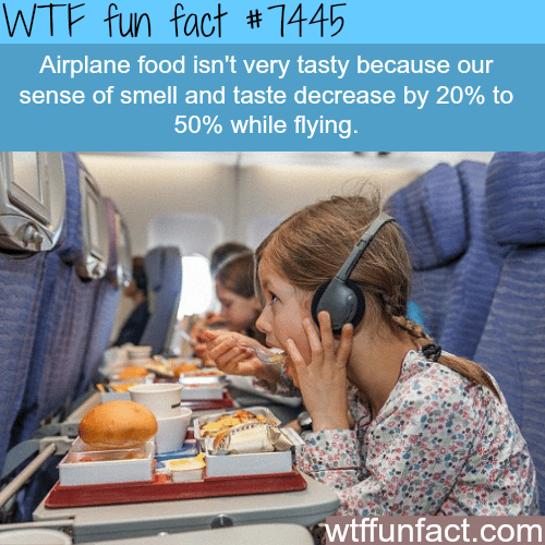 Why airplane food tastes bad - Facts