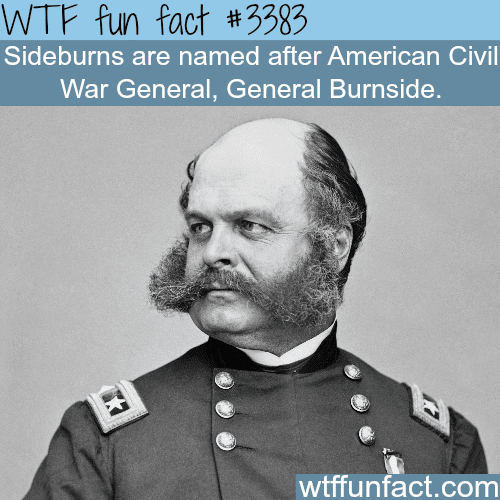 Why are they called Sideburns? -  WTF fun facts