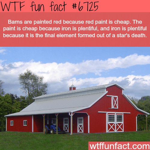 Why barns are painted red - WTF fun fact