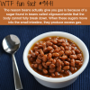 why beans give you gas wtf fun fact
