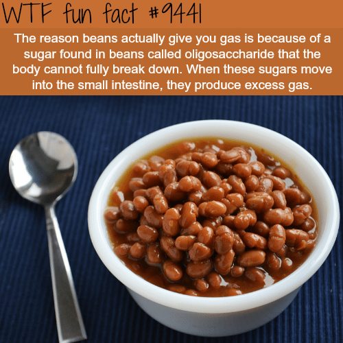 Why beans give you gas - WTF fun fact