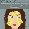 why being forgetful can be a good thing wtf fun
