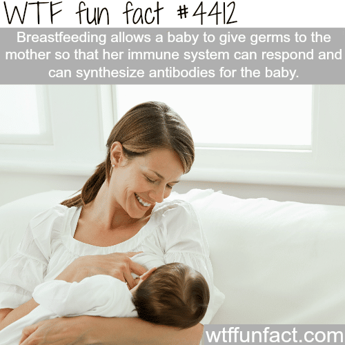 Why breastfeeding is better for the mother and her child -   WTF fun facts