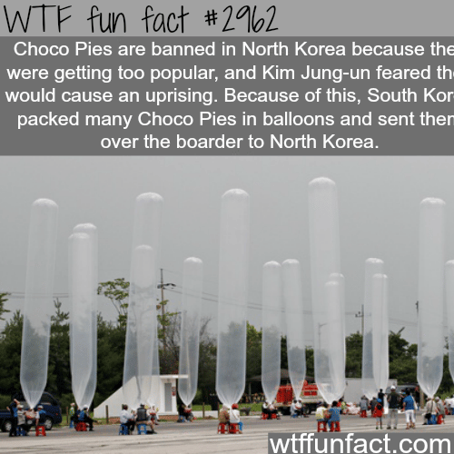 Why Choco Pies are banned in North Korea -  WTF fun facts