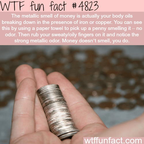 Why coins smell when you hold them - WTF fun facts