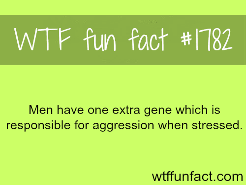 Why do men become aggressive when they are stressed? - WTF fun facts