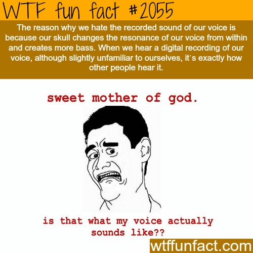 Why do we hate our own voice? - WTF fun facts