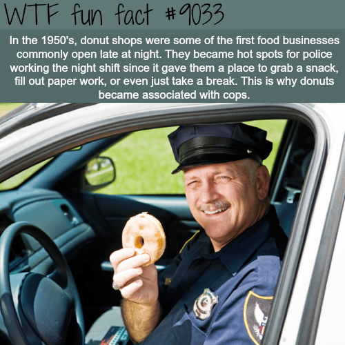 Why donuts are associated with cops - WTF fun facts 