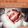 why heart cancers are so rare wtf fun fact