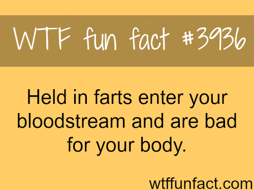 Why holding farts is bad for your health - WTF fun facts 