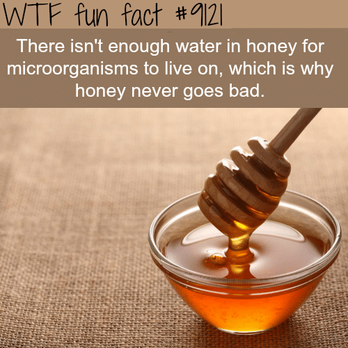 Why Honey Never Goes Bad - WTF fun fact