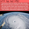 why hurricanes are named after females wtf fun