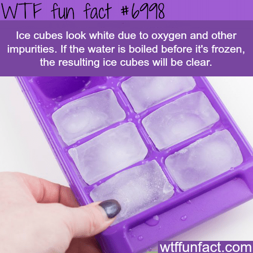 Why ice cubes are white - WTF fun facts
