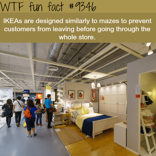 Why IKDEAs look like a maze - WTF fun facts