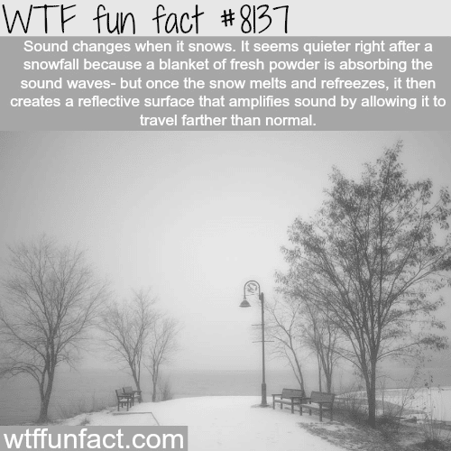 Why it gets quiet when it snows - WTF fun facts